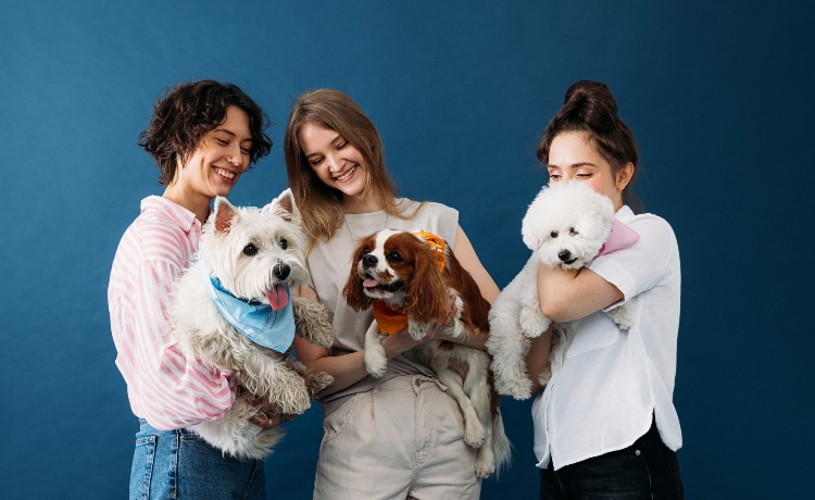 SEGURO PARA MASCOTAS